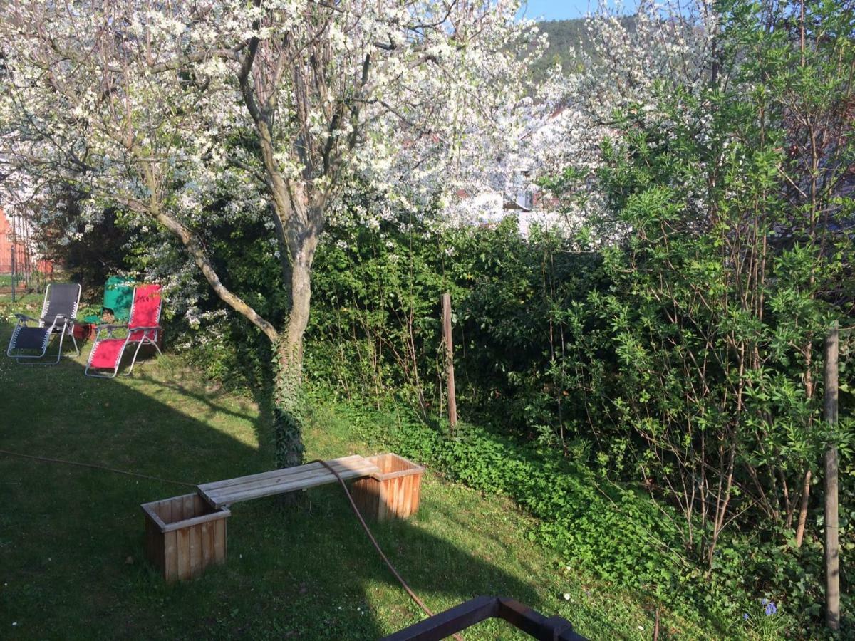 Schones Zimmer In Gimmeldingen/ Konigsbach Neustadt an der Weinstraße Buitenkant foto